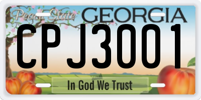 GA license plate CPJ3001