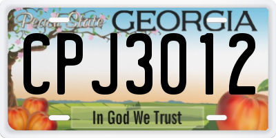 GA license plate CPJ3012