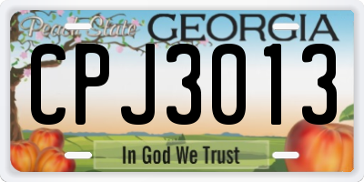 GA license plate CPJ3013