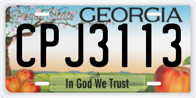 GA license plate CPJ3113