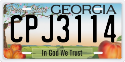 GA license plate CPJ3114