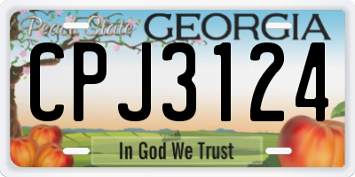 GA license plate CPJ3124