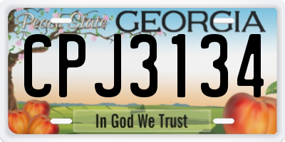 GA license plate CPJ3134