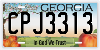 GA license plate CPJ3313