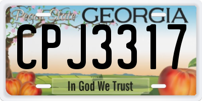 GA license plate CPJ3317