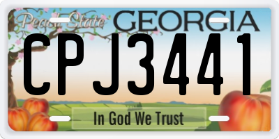 GA license plate CPJ3441