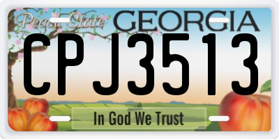 GA license plate CPJ3513
