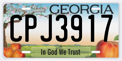 GA license plate CPJ3917