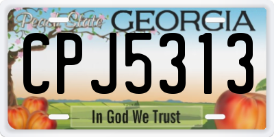 GA license plate CPJ5313