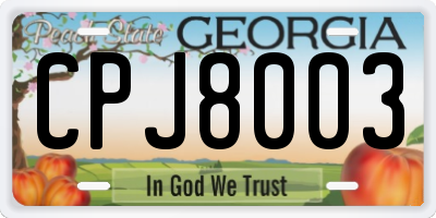 GA license plate CPJ8003