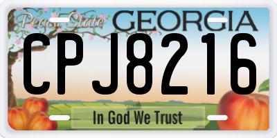 GA license plate CPJ8216