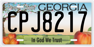 GA license plate CPJ8217