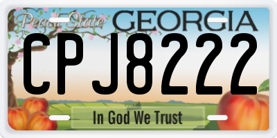 GA license plate CPJ8222