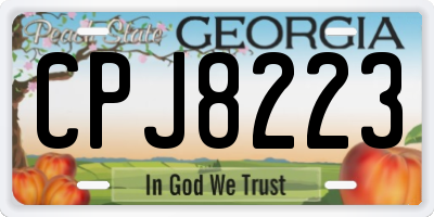 GA license plate CPJ8223