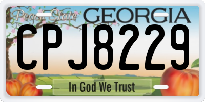 GA license plate CPJ8229