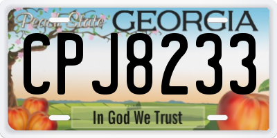 GA license plate CPJ8233