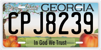 GA license plate CPJ8239