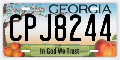 GA license plate CPJ8244