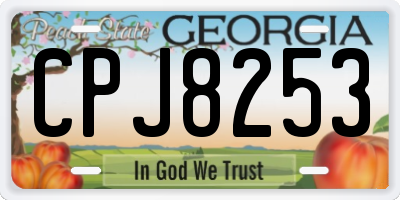 GA license plate CPJ8253