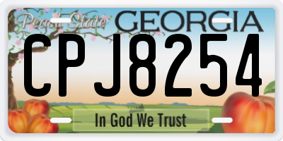 GA license plate CPJ8254