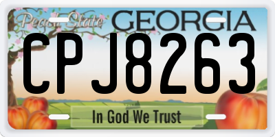 GA license plate CPJ8263