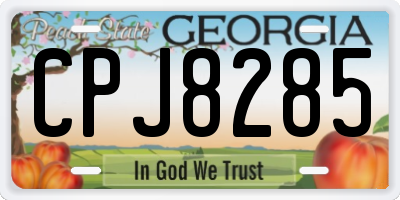 GA license plate CPJ8285