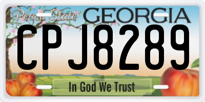 GA license plate CPJ8289