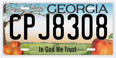 GA license plate CPJ8308