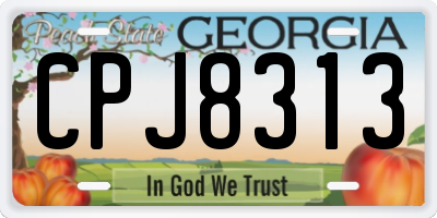 GA license plate CPJ8313