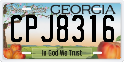GA license plate CPJ8316