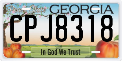 GA license plate CPJ8318