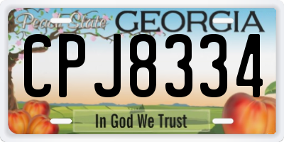 GA license plate CPJ8334