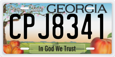 GA license plate CPJ8341