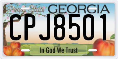 GA license plate CPJ8501