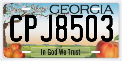 GA license plate CPJ8503