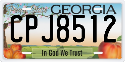 GA license plate CPJ8512
