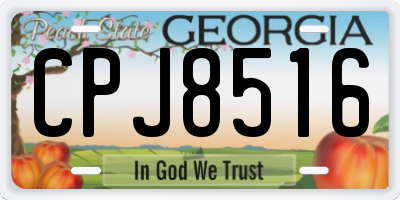 GA license plate CPJ8516