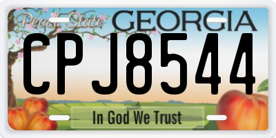 GA license plate CPJ8544