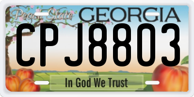 GA license plate CPJ8803