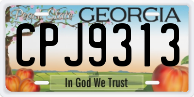 GA license plate CPJ9313