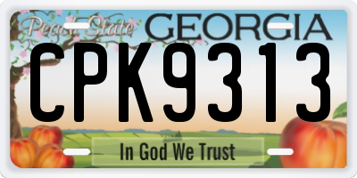 GA license plate CPK9313