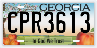 GA license plate CPR3613