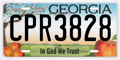 GA license plate CPR3828