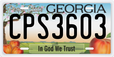 GA license plate CPS3603