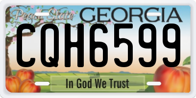GA license plate CQH6599