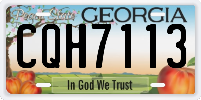 GA license plate CQH7113