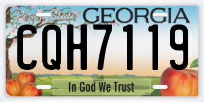 GA license plate CQH7119