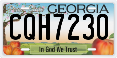 GA license plate CQH7230