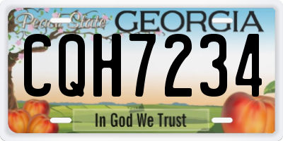 GA license plate CQH7234