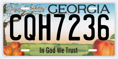 GA license plate CQH7236